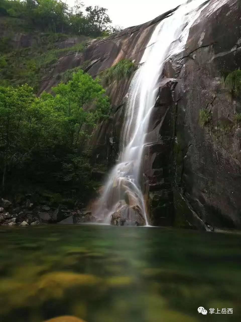 铁笼中的小鹿逃脱